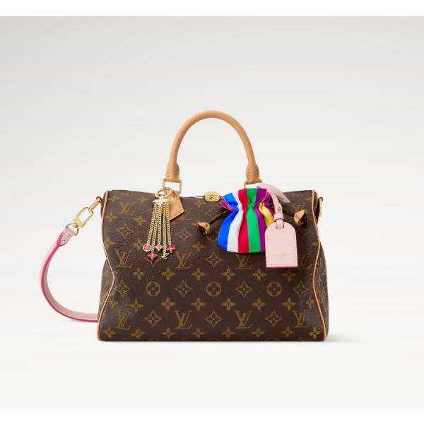 LV 루이비통 스피디 소프트 30 (Speedy Soft 30)