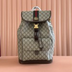 Gucci 구찌 Ophidia 백팩