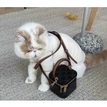 Celine 셀린느 Triomphe Canvas (Mini)
