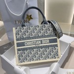 Dior 디올 Book Tote (Small)