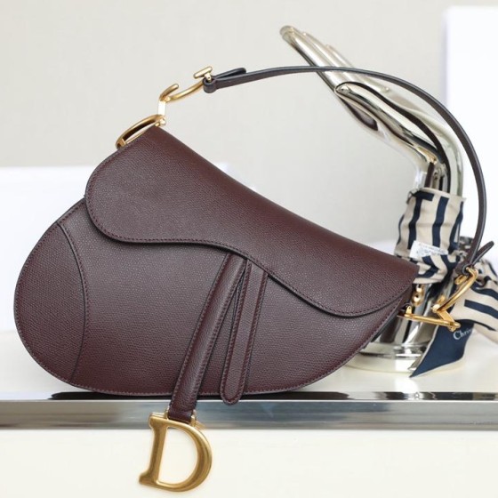 Dior 디올 Saddle