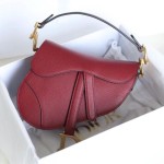 Dior 디올 Saddle