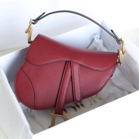 Dior 디올 Saddle