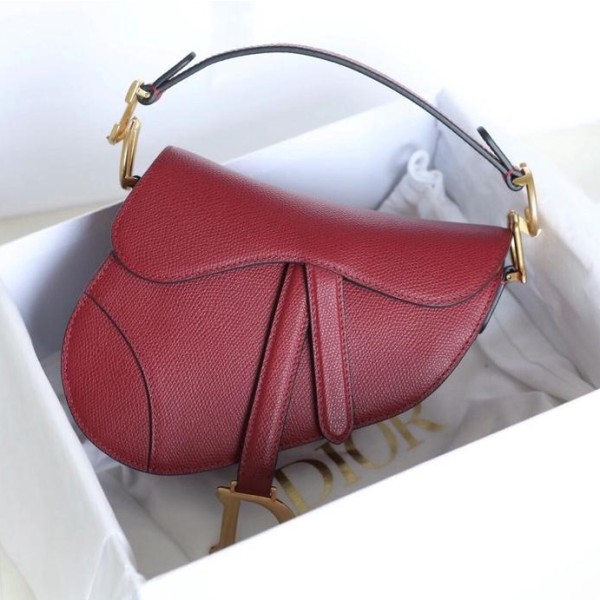 Dior 디올 Saddle