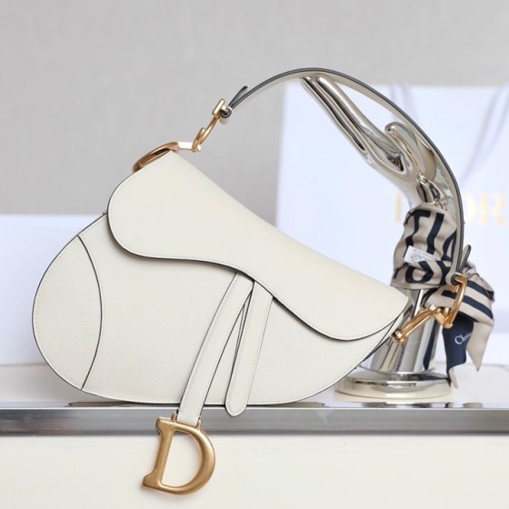 Dior 디올 Saddle