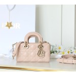 Dior 디올 Lady D-Joy