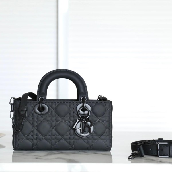 Dior 디올 Lady D-Joy