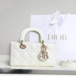 Dior 디올 Lady D-Joy
