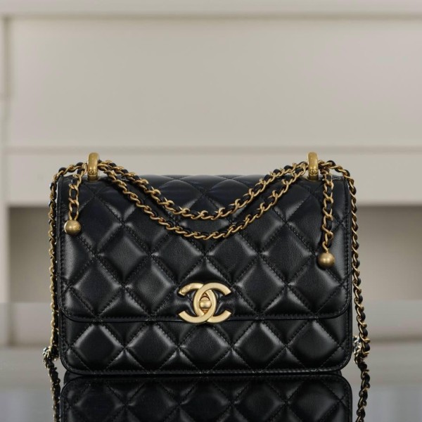 Chanel 샤넬 25S