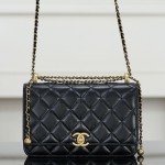 Chanel 샤넬 25s Woc