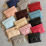 Dior 디올 Lady