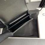 Celine 셀린느 TRIOMPHE