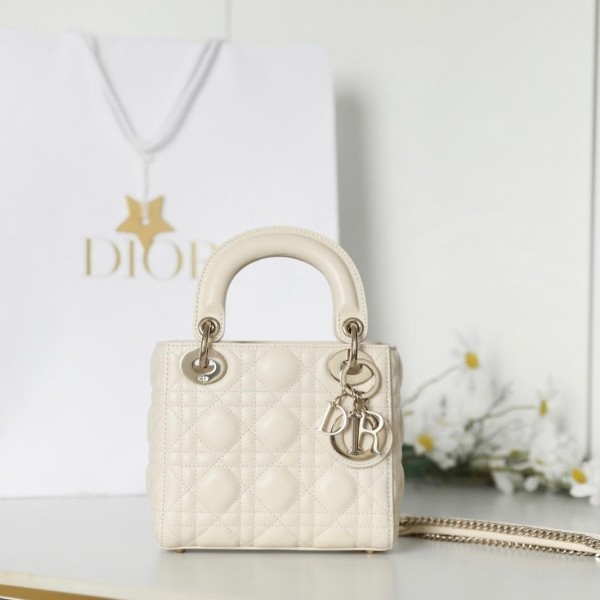 Dior 디올 Lady