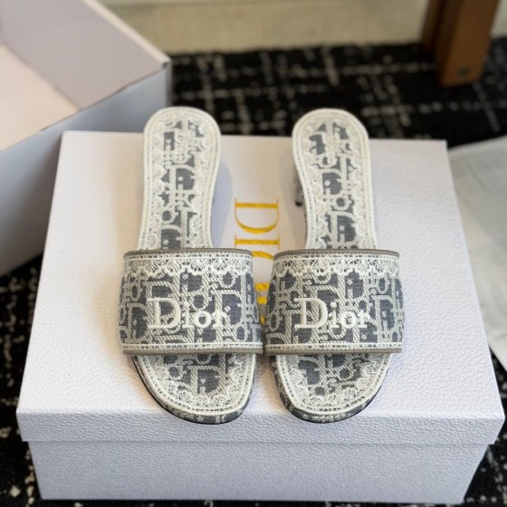 Dior 디올 Oblique