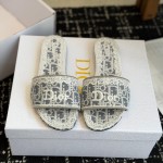 Dior 디올 Oblique