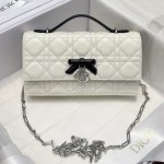 Dior 디올 Woc-90 Mini