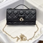 Dior 디올 Woc-90 Mini