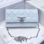 Dior 디올 Woc-90 Mini