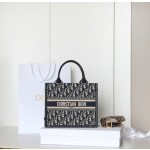Dior 디올 Book Tote (Small)